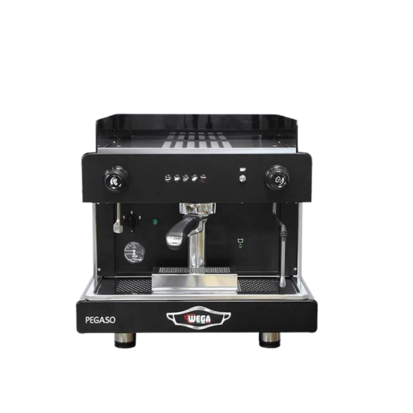 Wega Pegaso 1 group